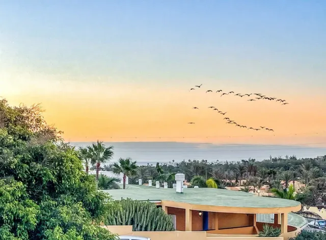 BookNoFees: House with sea views in Costa Calma – Costa Calma, Fuerteventura
