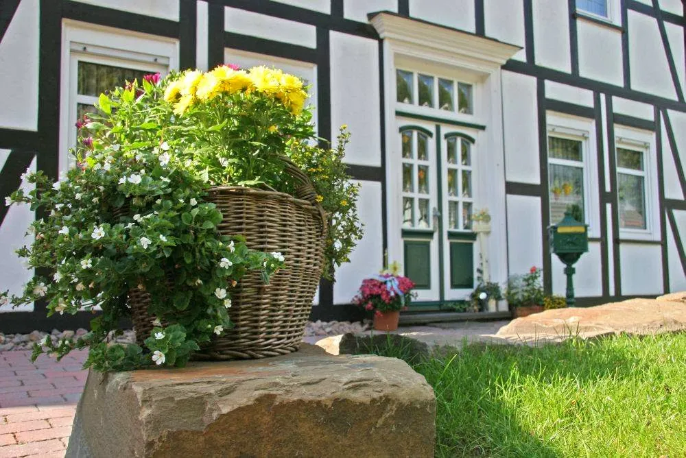 BookNoFees: Restaurant – Baumhoff Jürgen Café Pension – Olpe – Baumhoff Jürgen Café and Guesthouse, photo 1