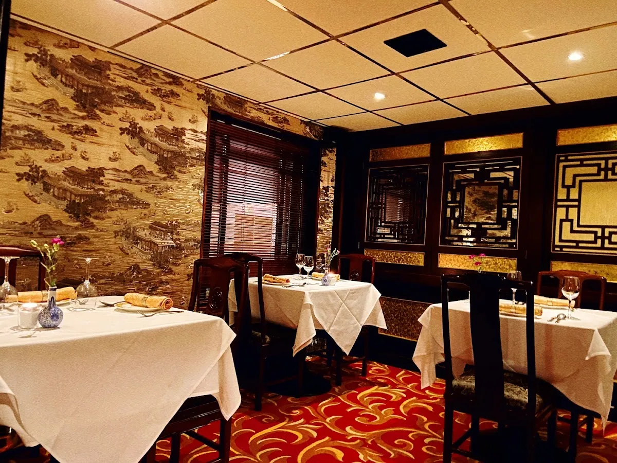 BookNoFees: Restaurant – Yang's – Dublin – Yang's, photo 1