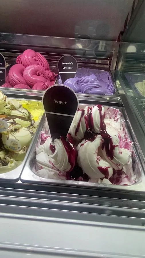 BookNoFees: Ice cream – Andersen Ice Cream – Bratislava – Andersen Ice Cream, photo 3
