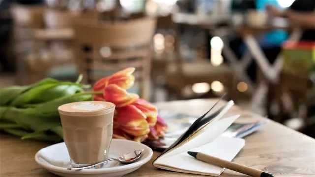 BookNoFees: Café – Ecocafe – Budapest – Eco-café, photo 3