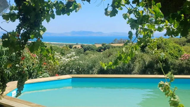 BookNoFees holiday home in Tarifa – Pool with wooden deck and sea view through grapevines
