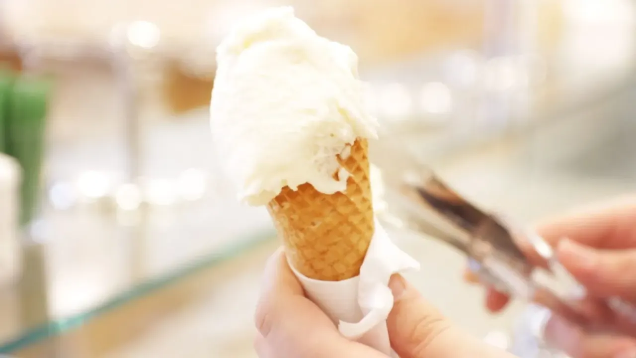 BookNoFees: Ice cream – Leones – Vienna – Lions, photo 1