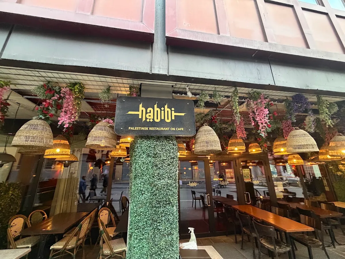 BookNoFees: Restaurant – Habibi Restaurant – Oslo – Habibi Restaurant, photo 1