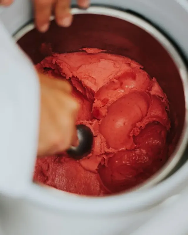BookNoFees: Ice cream – Artisani – Lisbon – Artisan, photo 2