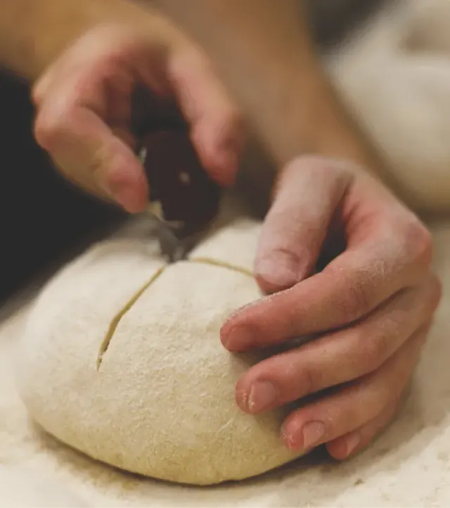 BookNoFees: Bakery – Triticum Micropanificio Agricolo – Rome – Triticum Micro-Bakery and Farm, photo 3