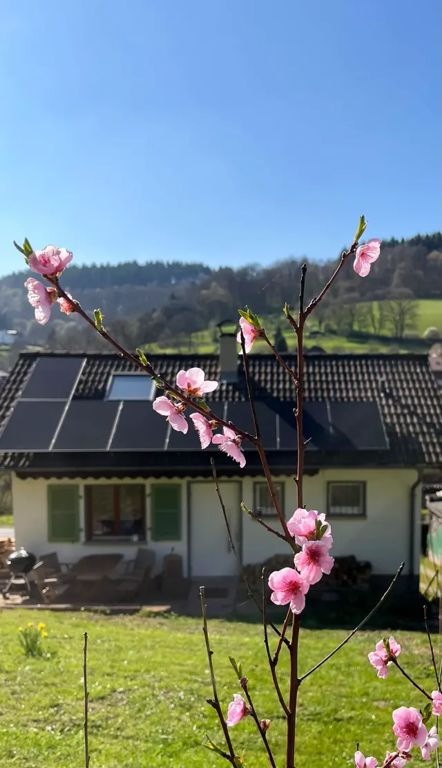 BookNoFees holiday home in Allemühl – Allemühl Holiday Cottage – a house all to yourselves!