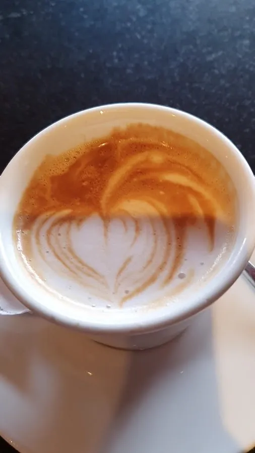 BookNoFees: Café – Bumerang – Zagreb – Boomerang, photo 3