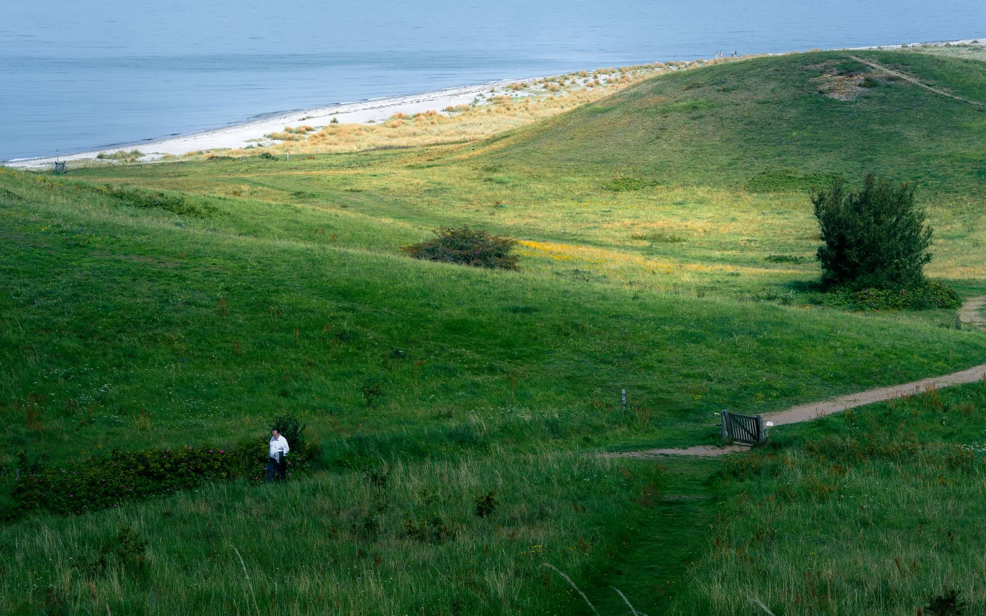 Green hills and coastline on the Danish island of Samsø